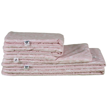 FourSeasonsDream Pillow- & Blanket Set